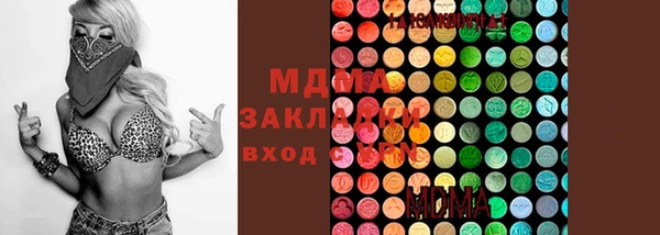 гашик Алексеевка