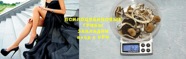 гашик Алексеевка