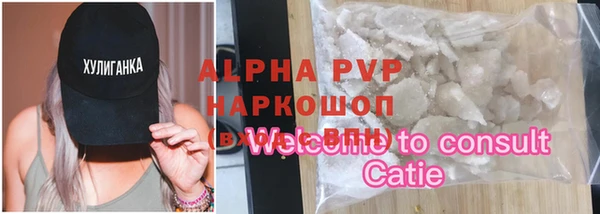 гашик Алексеевка