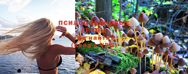 mix Абинск