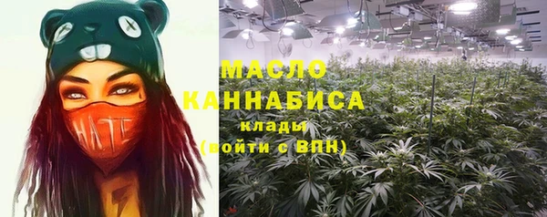 гидропоника Алзамай